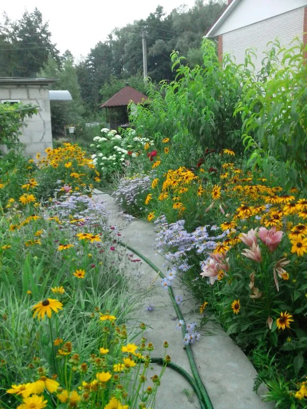 Цветы в огороде и на даче