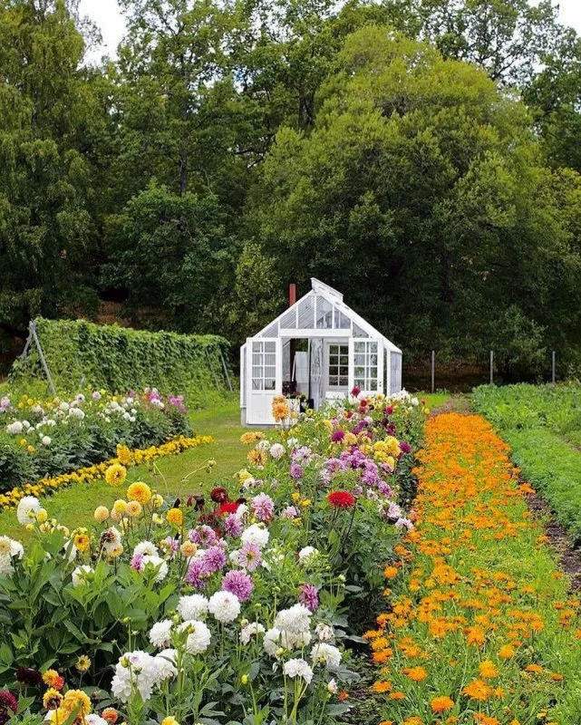 Цветочный сад в огороде