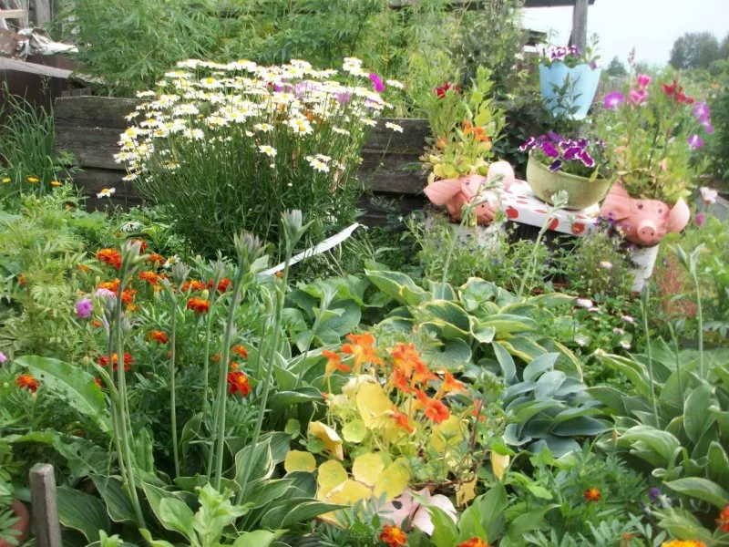 Дача сад огород цветы