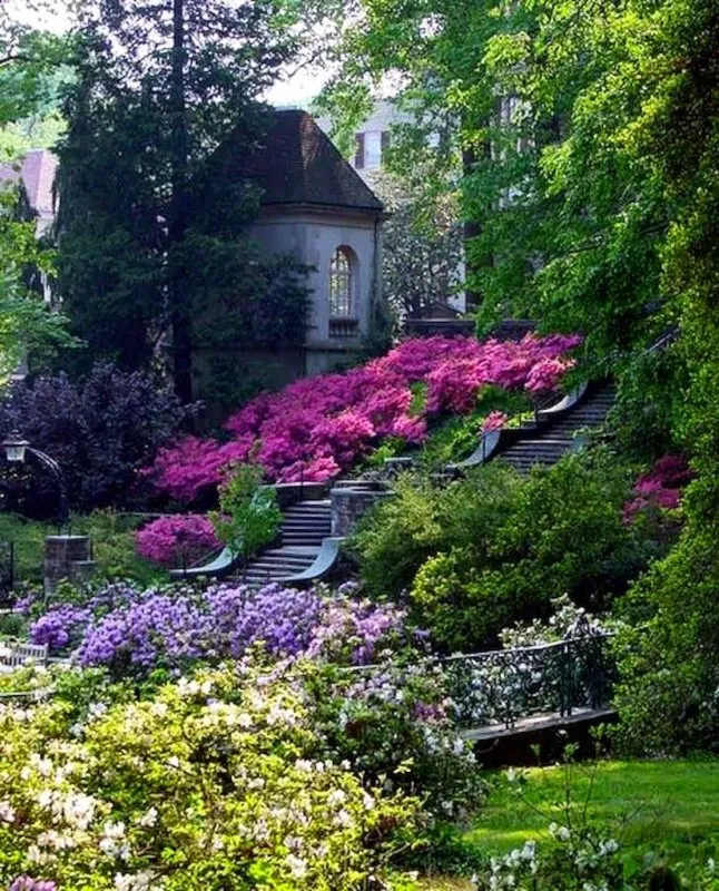 Английский пейзажный сад в Подмосковье