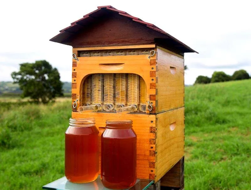 Интересное устройство – оно качает мед непосредственно из улья